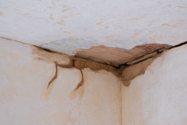 Best 24-hour water damage restoration  in Watford City, ND
