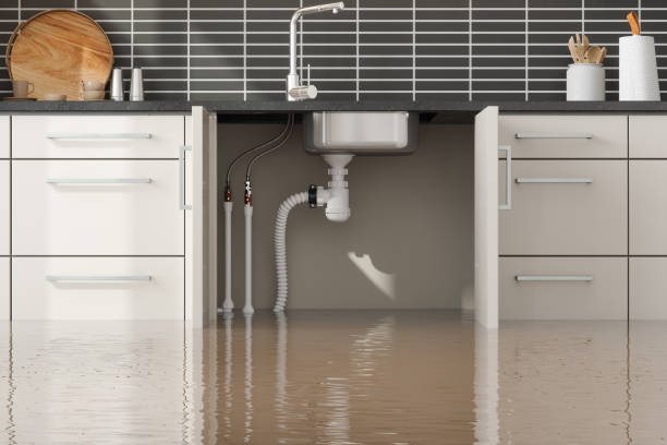 Best Water damage restoration company  in Watford City, ND